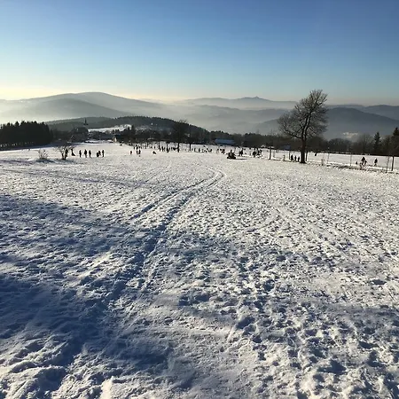 Pod Kaplickou Korenov