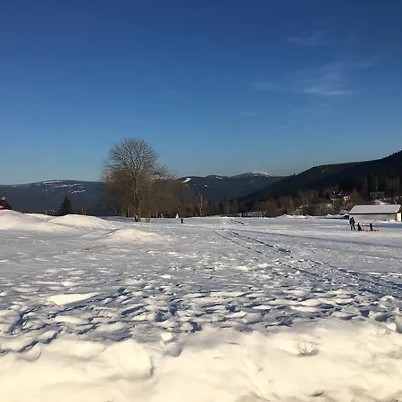 Pod Kaplickou 3* Kořenov